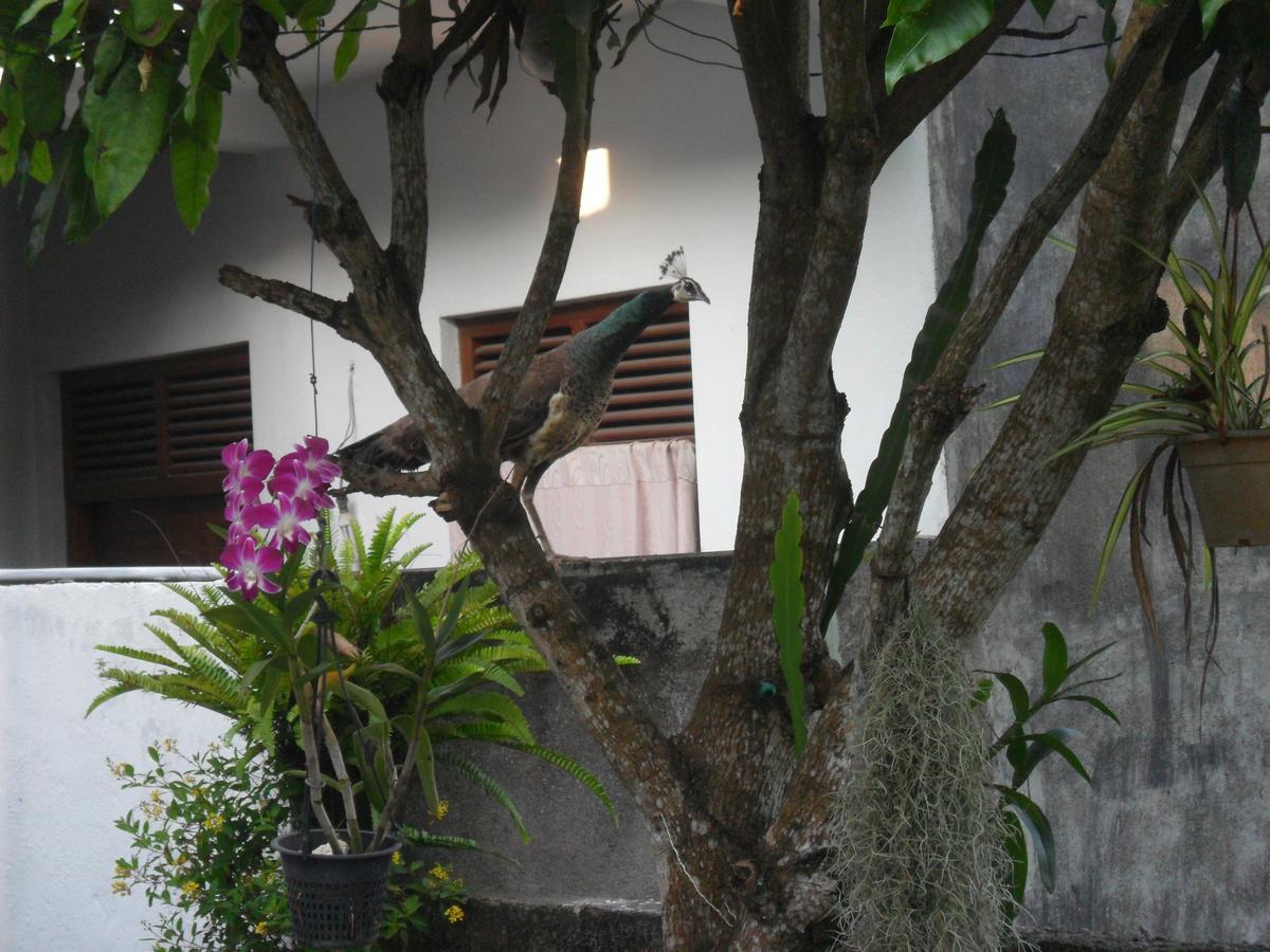 Sun Hill Home Weligama Eksteriør billede